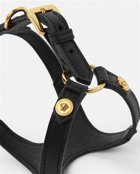 Versace pet accessories